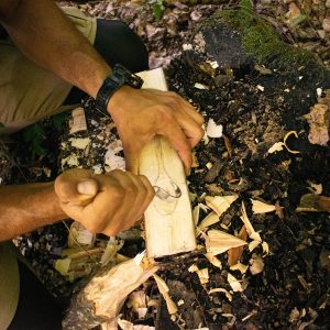 ОБРАДА ДРВЕТА